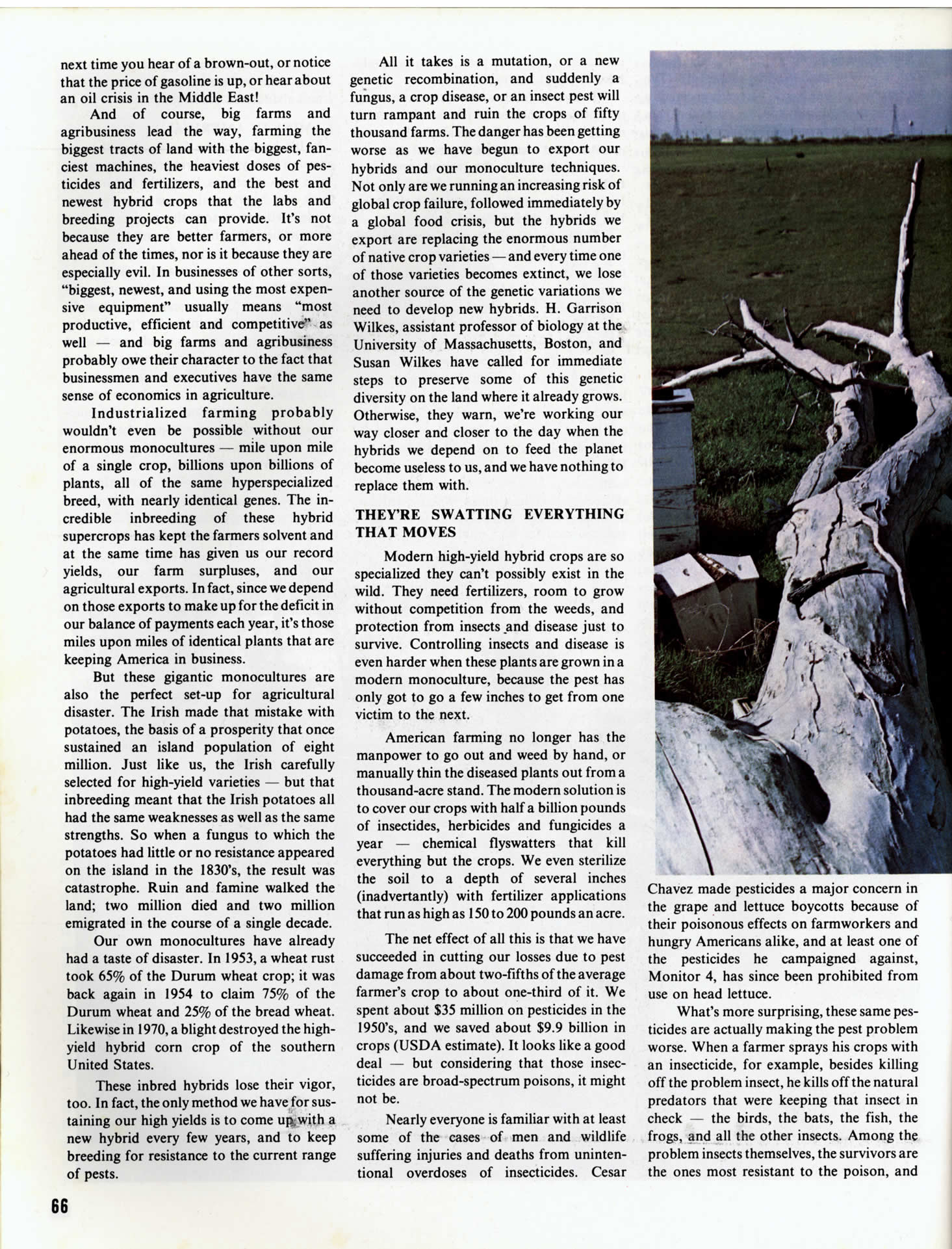 page66_Seeds_of_Famine_cont.jpg 461.2K