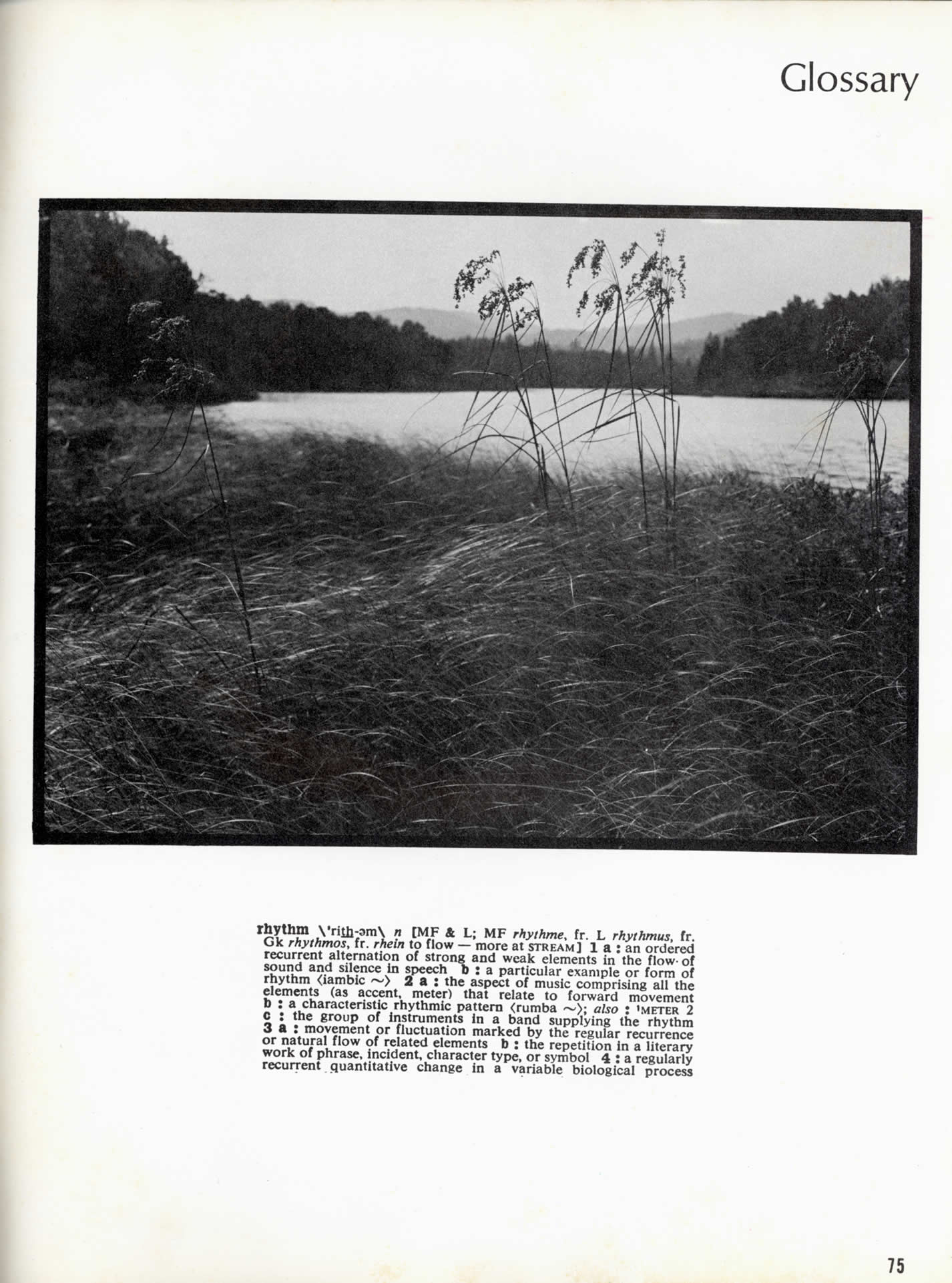 page75_Glossary.jpg 241.8K