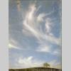 page48_backcover_duo.jpg 152.4K