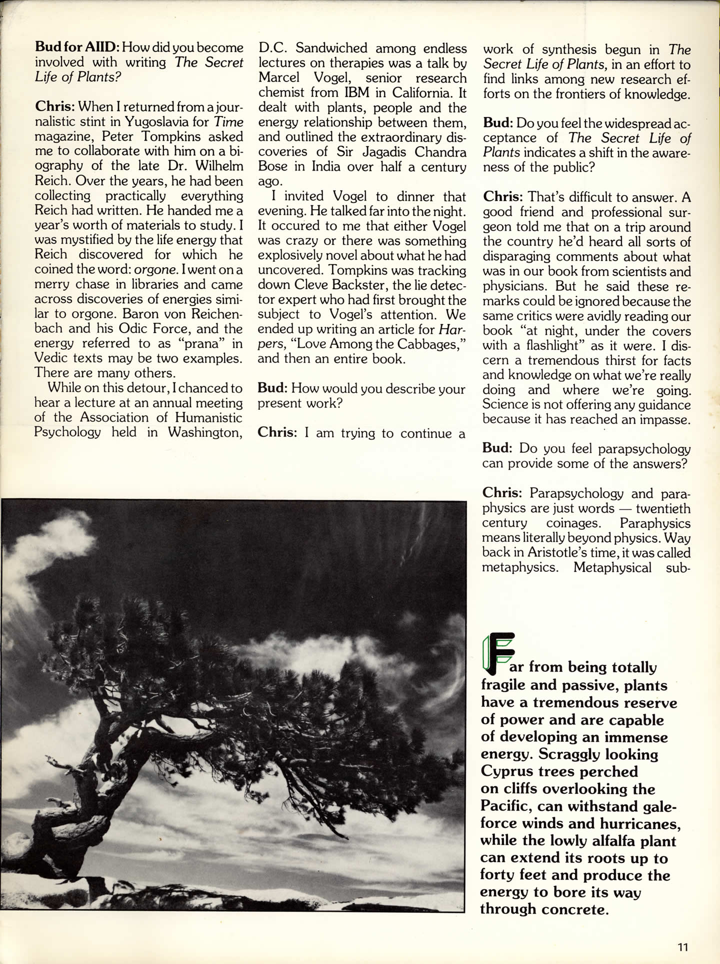 page11_interview_christopher_bird.jpg 399.4K