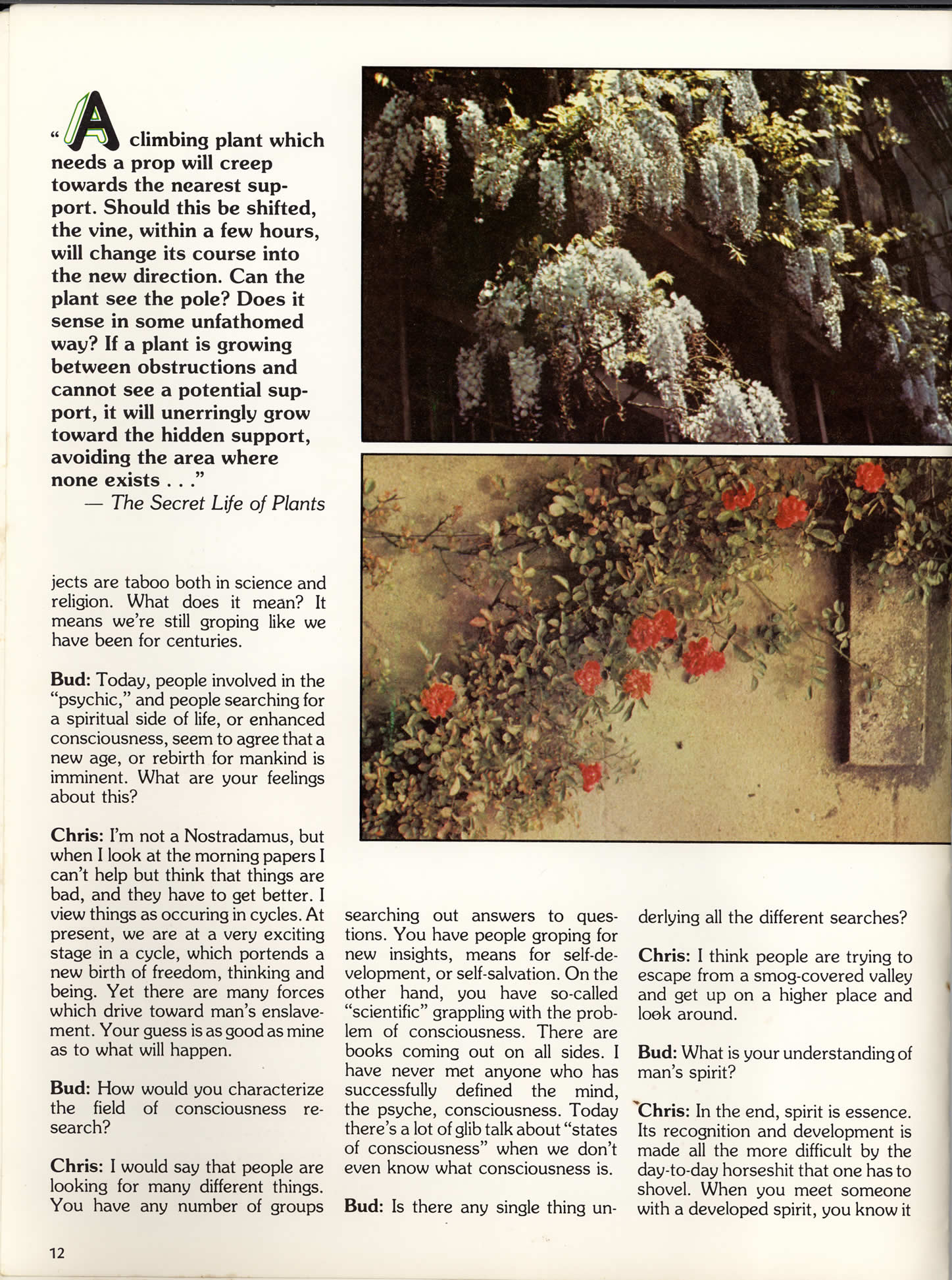 page12_interview_christopher_bird.jpg 425.3K