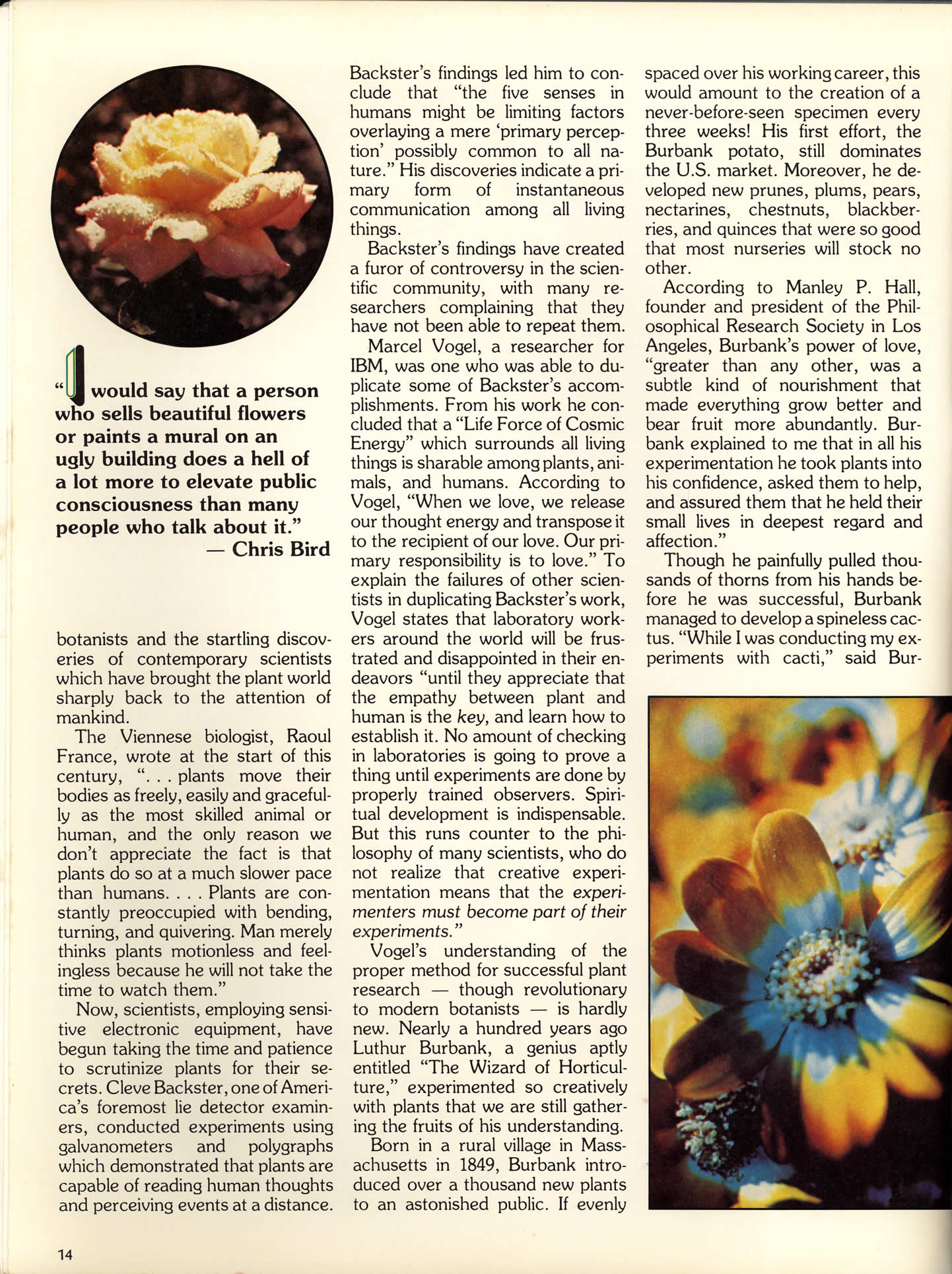 page14_interview_christopher_bird.jpg 468.4K